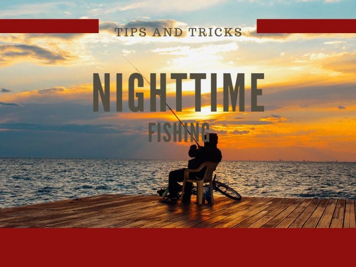 The Most Useful Night Fishing Tips and Techniques